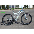 High Quality Cheap Price Mountain Bike/Bicycle Wholesale